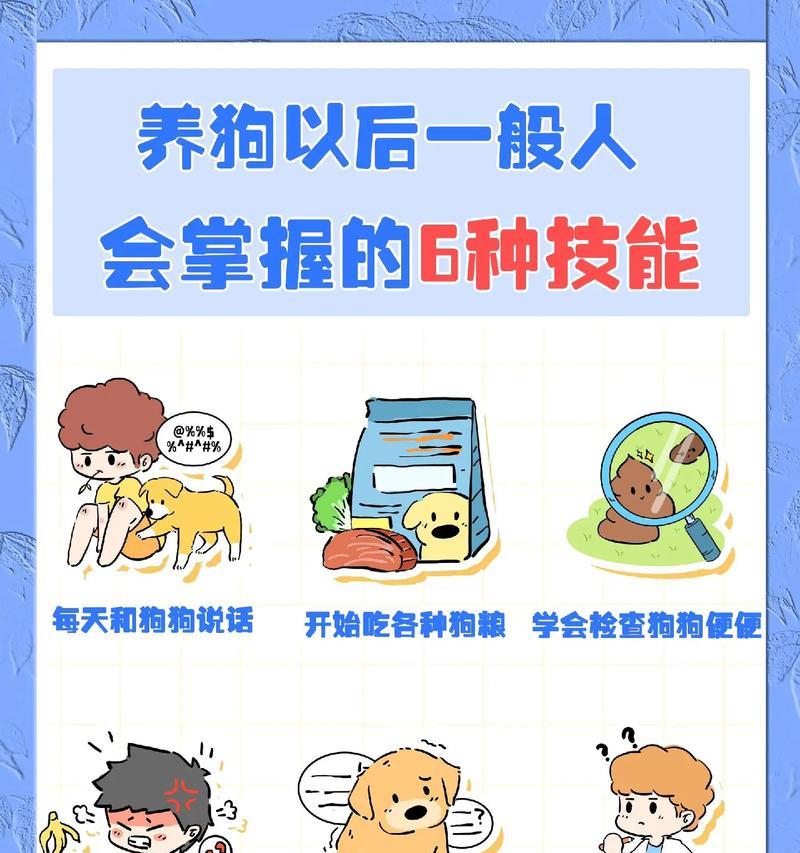 养狗的人应具备的必备条件（培养一只健康快乐的宠物狗所需的关键要素）