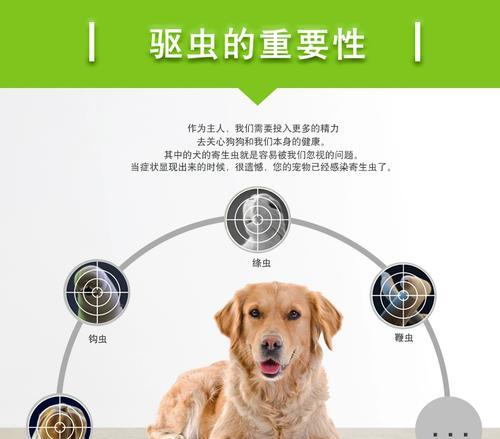 小狗吃完驱虫药后多久可以正常进食？（了解小狗驱虫药后的饮食恢复时间及注意事项）
