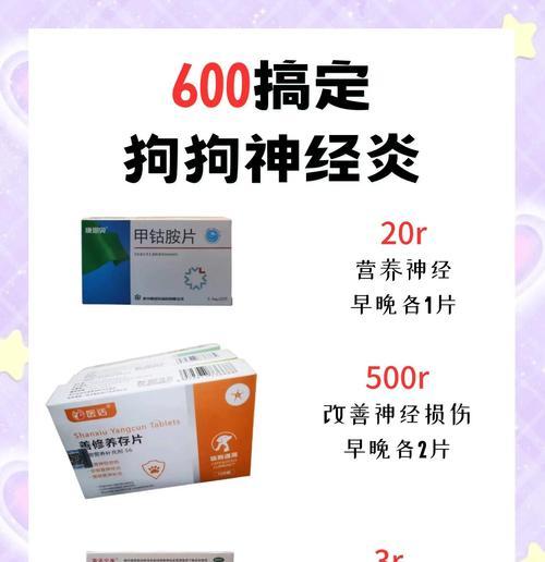 狗吃了药多久见效？（解析狗吃药后的见效时间和关键因素）