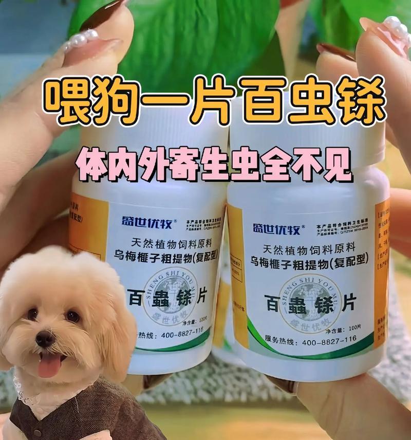 狗狗驱虫时间的适宜性（了解狗狗驱虫的最佳时间和周期）