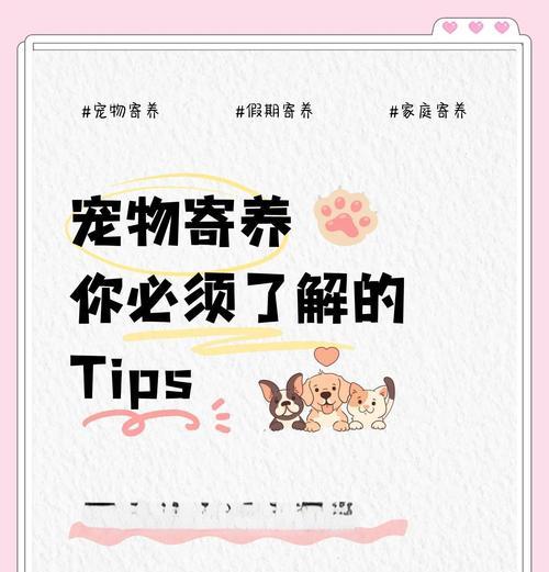 养宠健康指南（以健康养宠的秘诀分享）