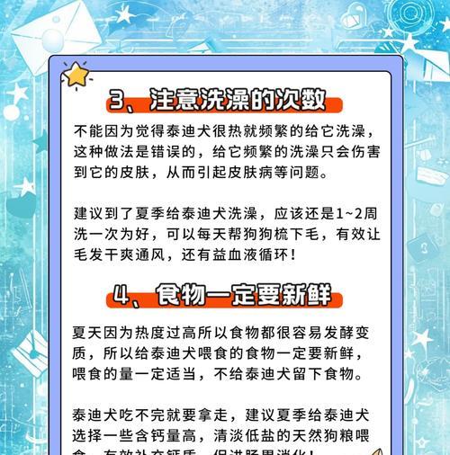 自己在家给泰迪洗澡，省钱又方便（以宠物店给泰迪洗澡的流程，让你轻松成为泰迪洗澡专家）