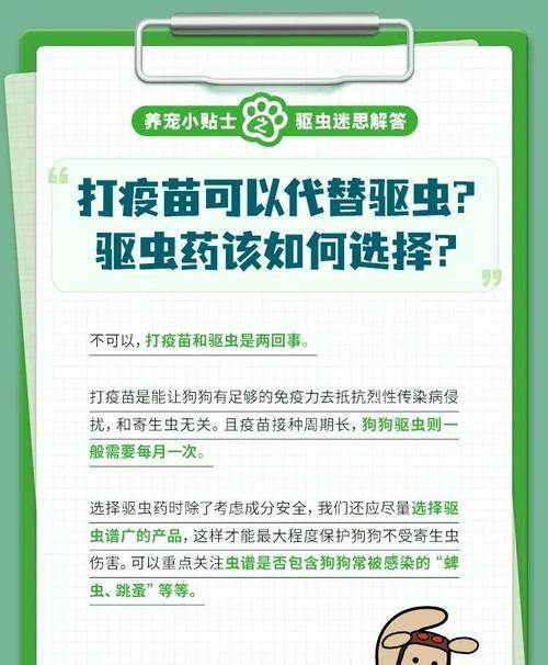 幼犬驱虫后的合适疫苗接种时间（保护幼犬免受病菌侵害，提前做好预防工作）