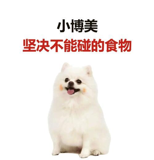 正确喂养狗狗的重要性（每顿应该喂狗狗多少？）