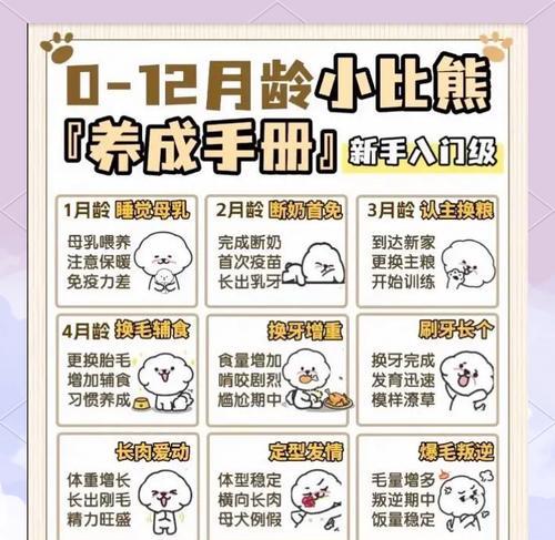 比熊小便的憋尿能力（探究比熊小狗是如何控制尿意的秘密）