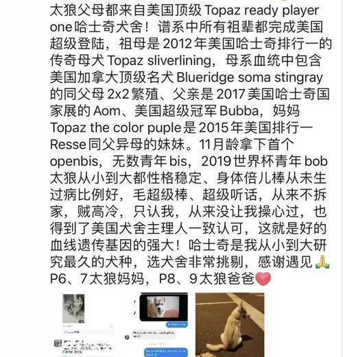 哈士奇的牙齿生长周期及特点（探究哈士奇牙齿生长与发展的过程及注意事项）