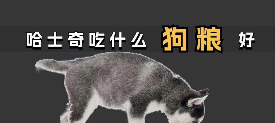 为拥有玻璃胃的哈士奇选择适合的狗粮（哈士奇狗粮品牌排行榜和选购指南）