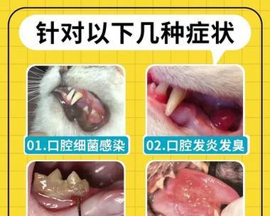 宠物狗为什么会流口水？如何解决口腔问题？（口腔健康的重要性及常见原因）