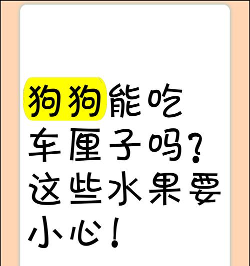 狗狗的饮食中千万别忽视的禁忌水果（不要让这些水果成为狗狗健康的绊脚石）