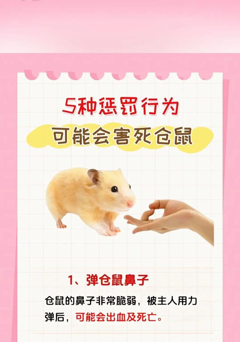 仓鼠是否需要喝水？（探究仓鼠对水的需求及其生存能力）