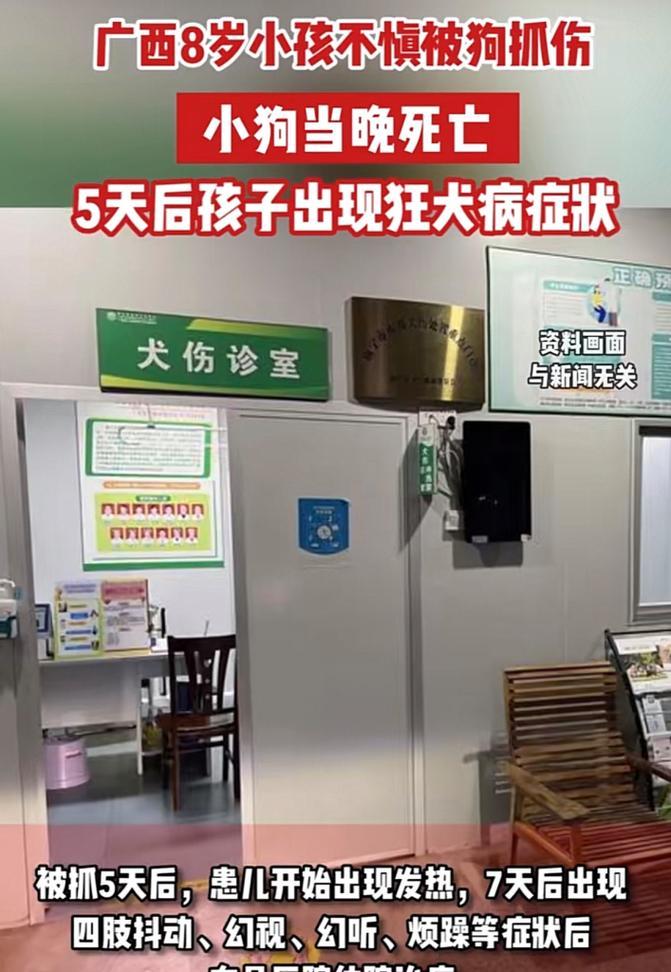 狂犬病发作的症状（狗主人必读，狗狗的狂犬病发作症状大揭秘）