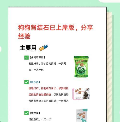 狗肾病的症状与治疗（了解狗肾病的常见症状及有效治疗方法）