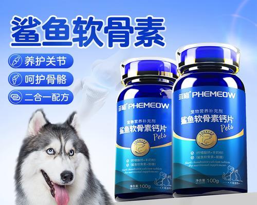 养狗新手必备手册（正确补钙方法，让阿拉斯加成长健康快乐）