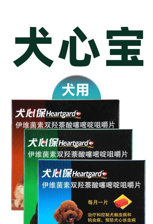 狗狗打虫药的发作时间及关键因素（科学掌握时间，确保宠物健康）