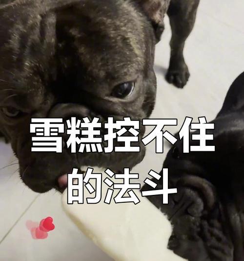 法斗饮食喂养的注意事项（为你的法斗提供健康均衡的饮食）