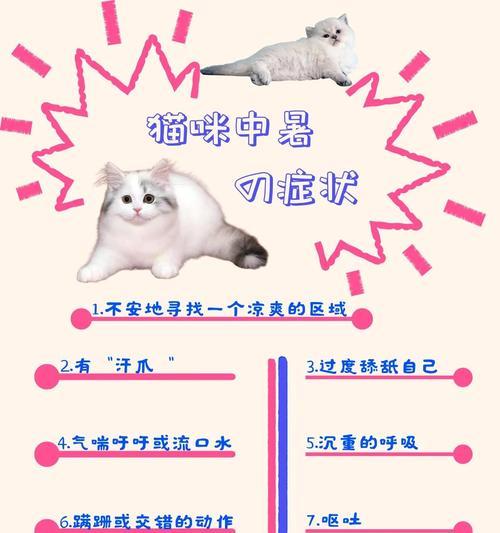 猫猫量温度（了解猫咪的身体语言，维护它们的健康状况）