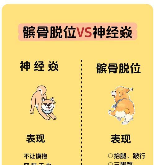 狗狗髌骨脱位的原因和治疗方法（了解狗狗髌骨脱位的常见原因和有效的治疗方法）