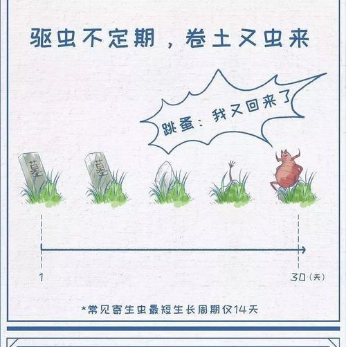 如何保持幼犬的心健康？（了解幼犬的心理需求，让它们快乐成长）