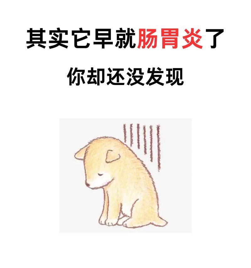 狗狗胃肠炎（了解狗狗胃肠炎的常见症状及如何有效治疗）