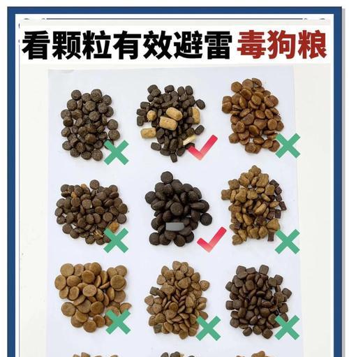 如何选择一款优质狗粮？（新手养狗必读的选购指南）