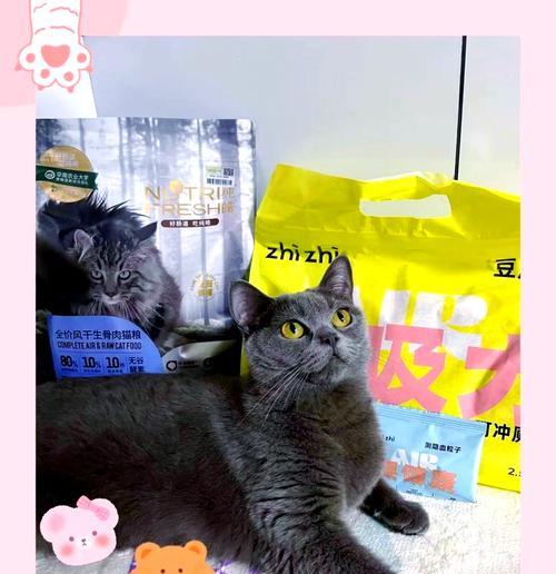 为什么猫粮的单位是斤，而猫砂的单位是升？（猫粮和猫砂的不同性质及其单位的起源）