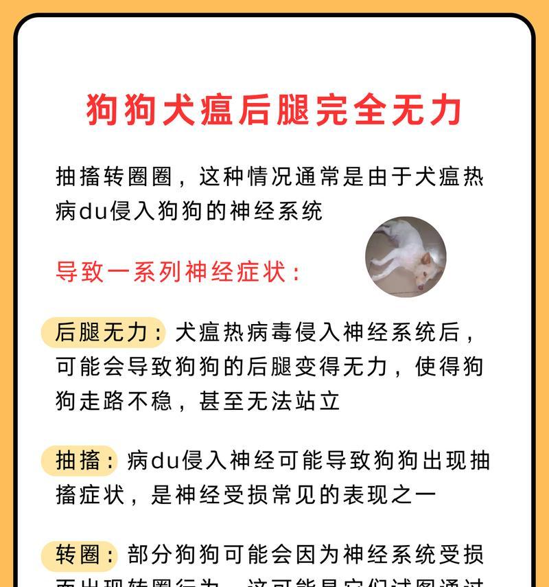 狗狗腿抽筋自愈时间有多久？（了解腿抽筋的症状、治疗和康复过程）