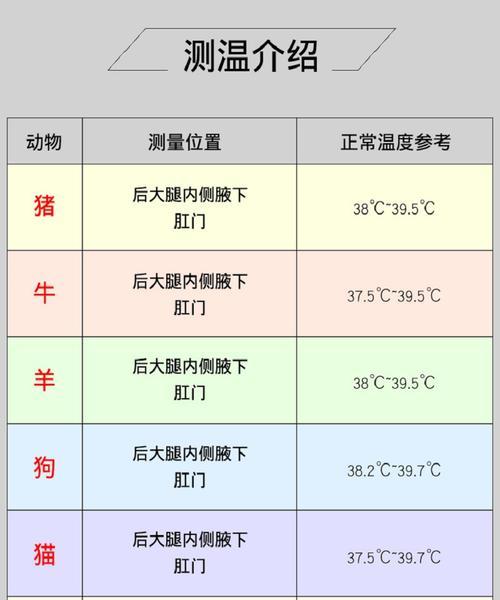 狗狗肛门测体温的方法与注意事项（科学的狗狗体温检测方法和技巧）