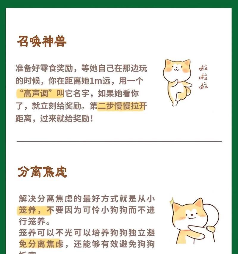 狗的训练技能——培养忠诚、和智力的关键