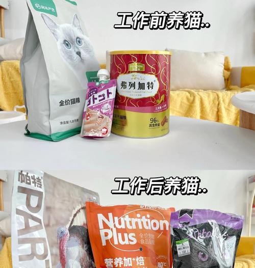猫咪品种中值钱的猫是什么？（探索高价值猫的特点和魅力）