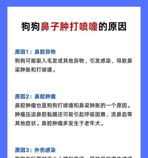 狗狗打喷嚏的原因和含义（解读狗狗打喷嚏）