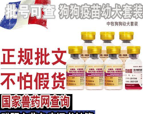 金毛宝宝打疫苗的最佳时间（金毛犬的疫苗接种时间表与注意事项）
