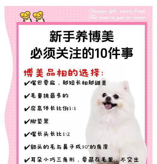 博美犬的成长速度究竟有多快？（揭秘博美犬成长周期及关键因素）
