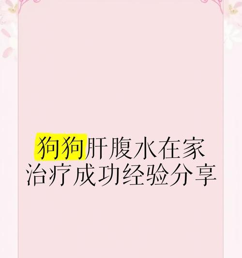 狗狗腹水的症状、病因及治疗方法（探究狗狗腹水的危害及急救措施）