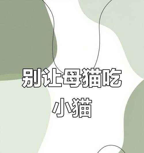 母猫生产后多久不要小猫？（了解小猫分离母猫的最佳时机）