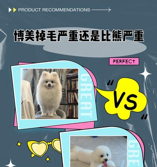 博美犬换毛周期解析（了解博美犬的毛发更新周期及养护技巧）