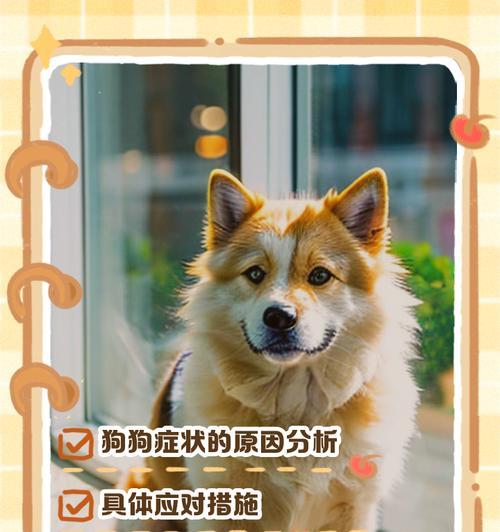 狗狗不吃饭的常见原因及解决方法（了解狗狗不吃饭的原因，帮助你解决这一问题）