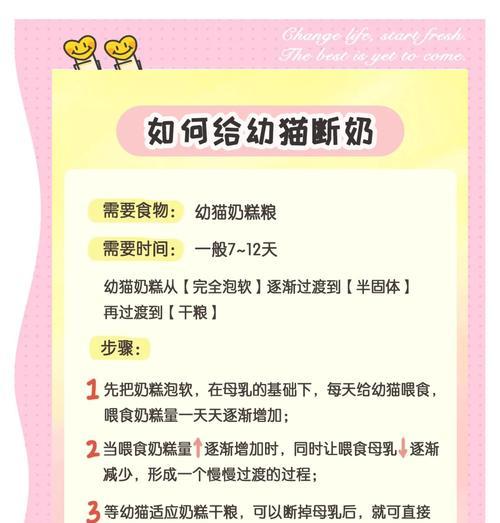 断奶后母猫多久可以怀孕？（解读母猫的繁殖周期和最佳怀孕时间）