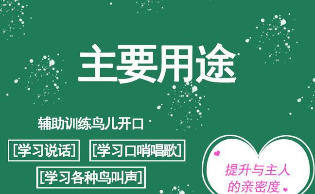 鹦鹉八哥如何学习说话？（探索鹦鹉八哥学习说话的训练方法）