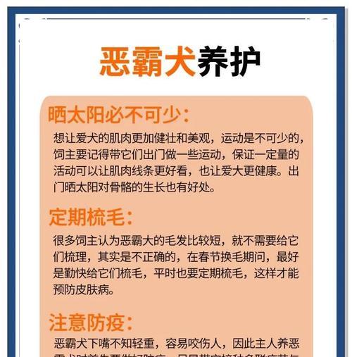 养恶霸犬需要注意哪些？（养恶霸犬的关键要点和建议）