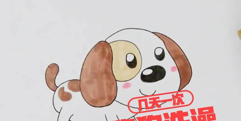 如何科学地给狗狗洗澡和剪毛？（狗狗洗澡剪毛的时间和技巧）