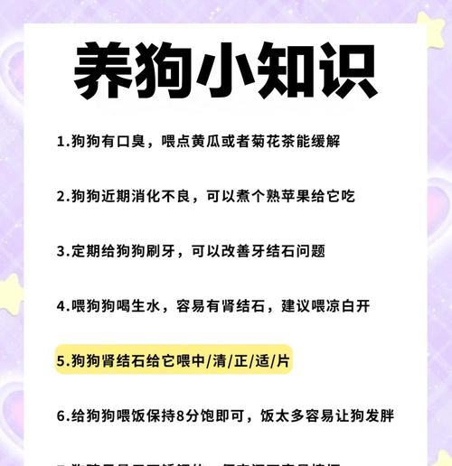 如何合理喂养哈士奇？（每天饮食摄入量的控制和营养搭配）