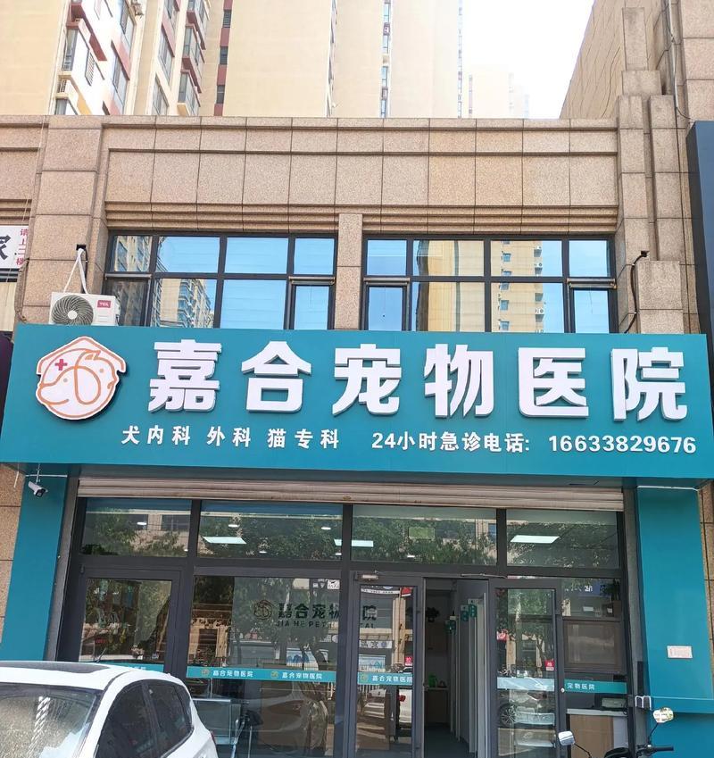 探秘急诊宠物医院（宠物急救从不等待，这里是它们的最后希望）