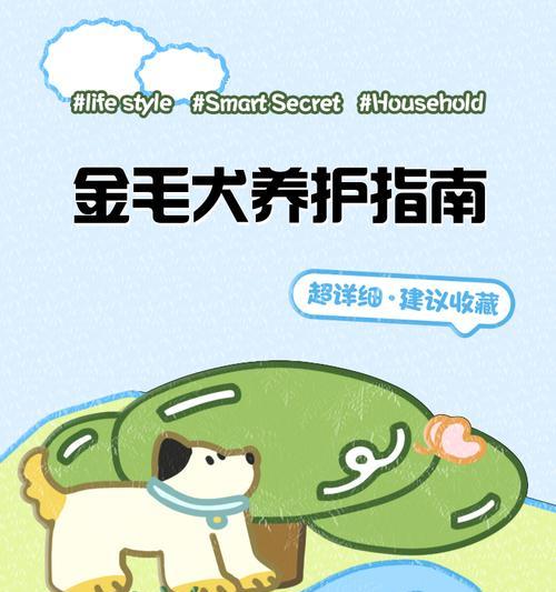买金毛犬的注意事项（如何选择适合自己的金毛犬）