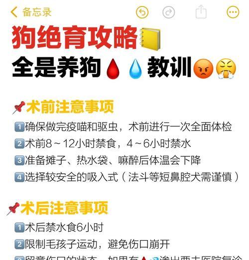 狗狗绝育后多久恢复食欲？（了解狗狗绝育术后的饮食情况）