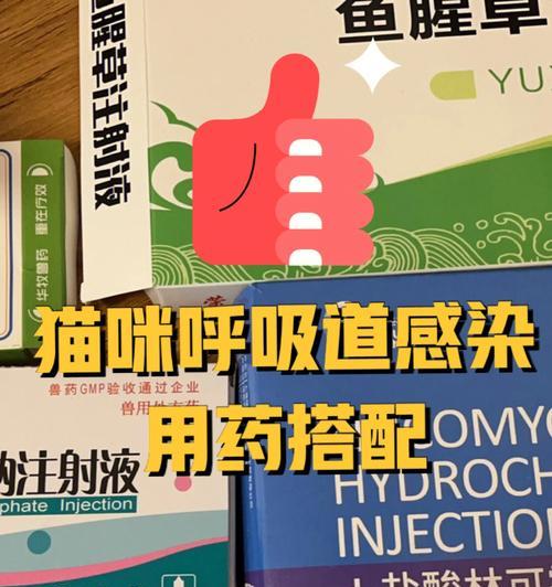 幼犬刚到新家的重要注意事项（让幼犬平稳适应新环境的关键）